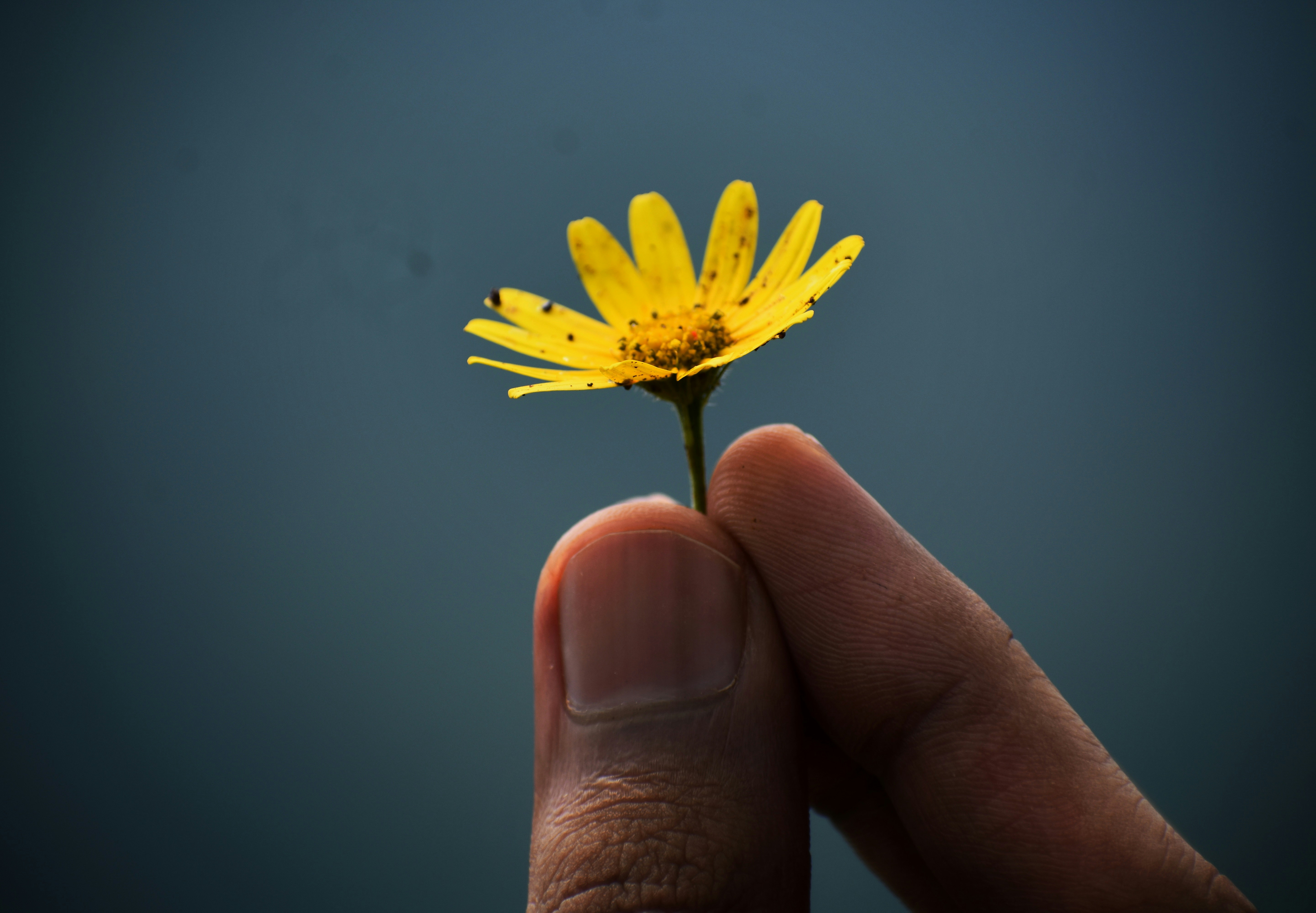 The Healing Power of Forgiveness